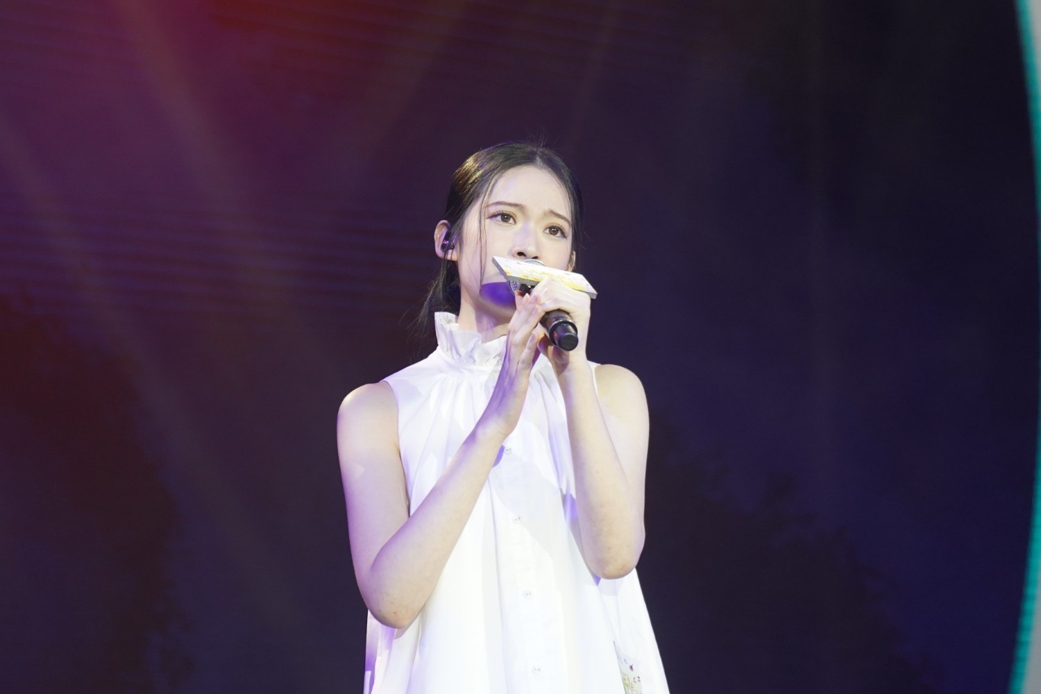 東華三院慈善遊園音樂祭